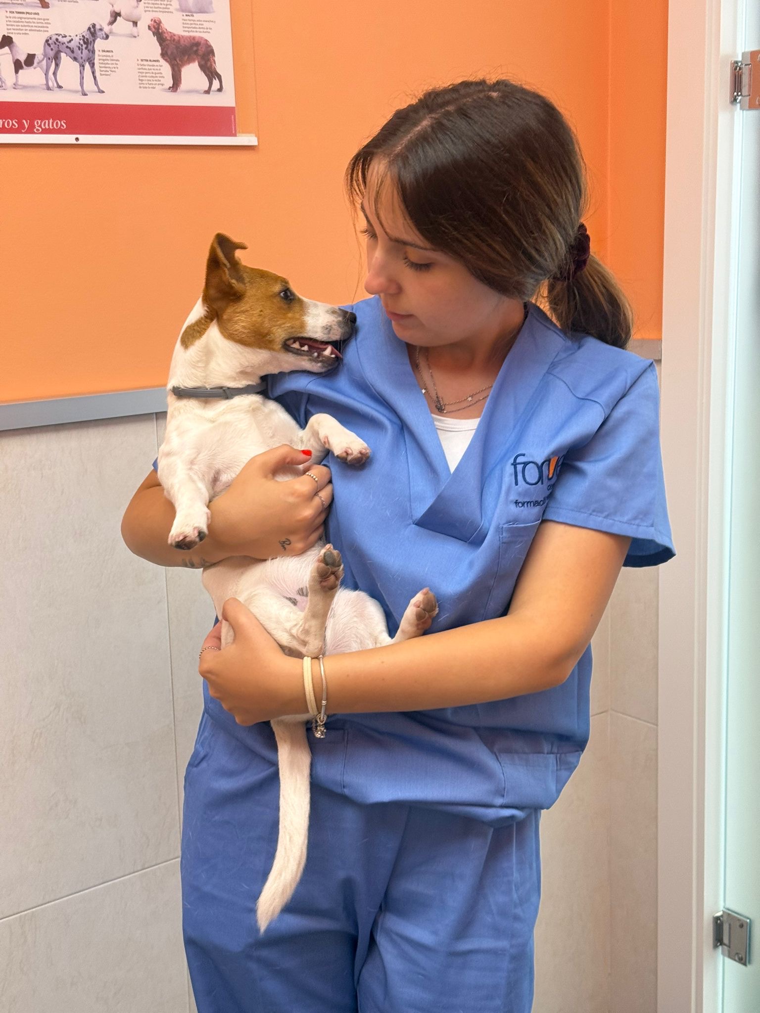 importancia-actuar-tiempo-clinica-veterinaria-laencinilla