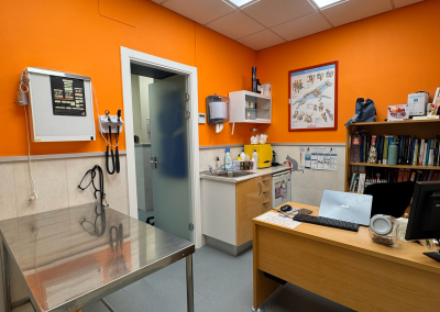 consulta-clinica-veterinaria-laencinilla