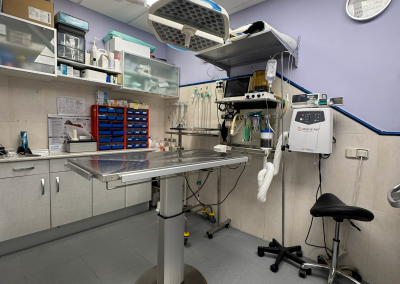 quirofano-clinica-veterinaria-laencinilla