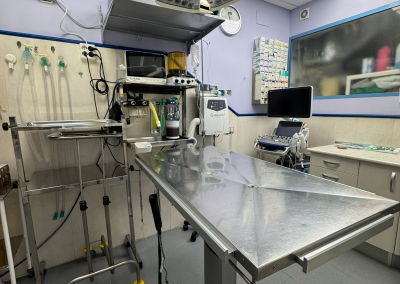 quirofano-clinica-veterinaria-laencinilla